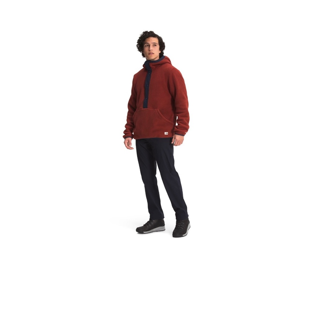 North Face Carbondale 1/4 Snap Fleece Hoodie - NWT - Picture 3 of 8